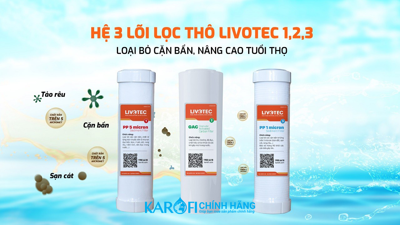 Máy lọc nước Karofi Livotec 606